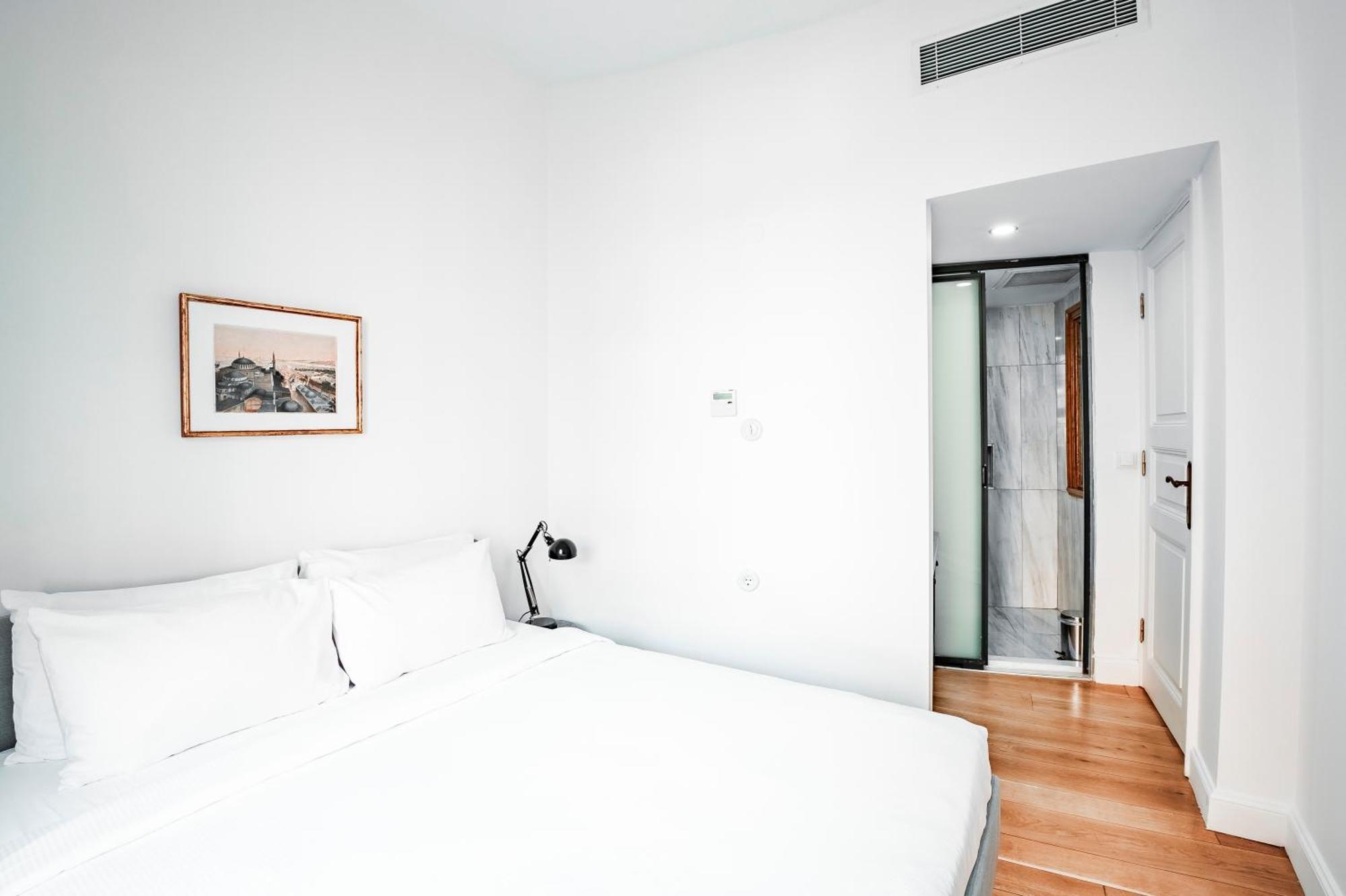 Homie Suites - Historical Apartment Nearby Galata Tower Istanbul Rom bilde